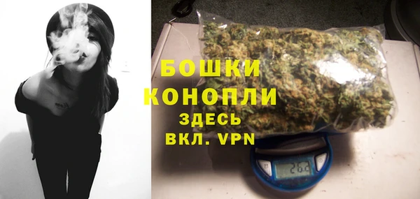 apvp Белокуриха