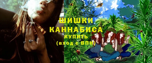 сатива Ступино