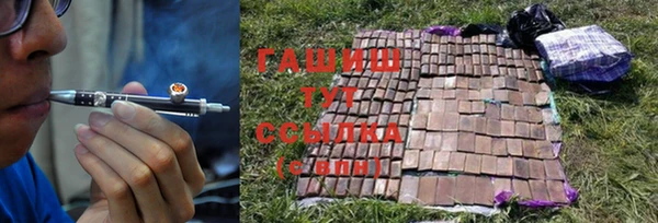 apvp Белокуриха