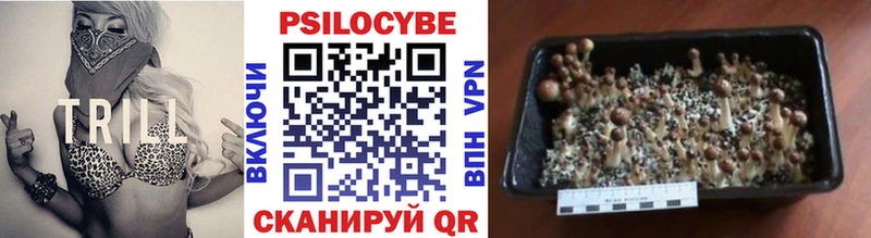 Галлюциногенные грибы Psilocybine cubensis Светлый
